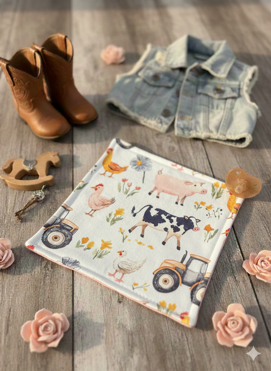 Farm Pacifier Blanket